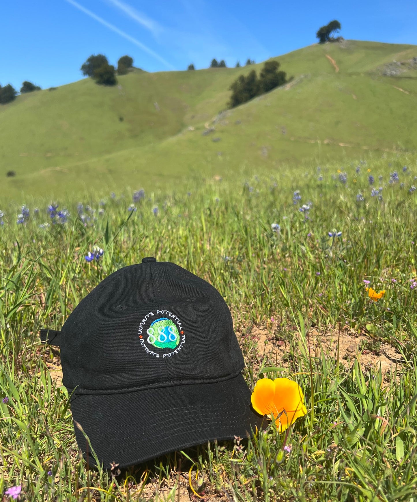 Infinite Potential 888 Angel Number Organic Cotton dad hat