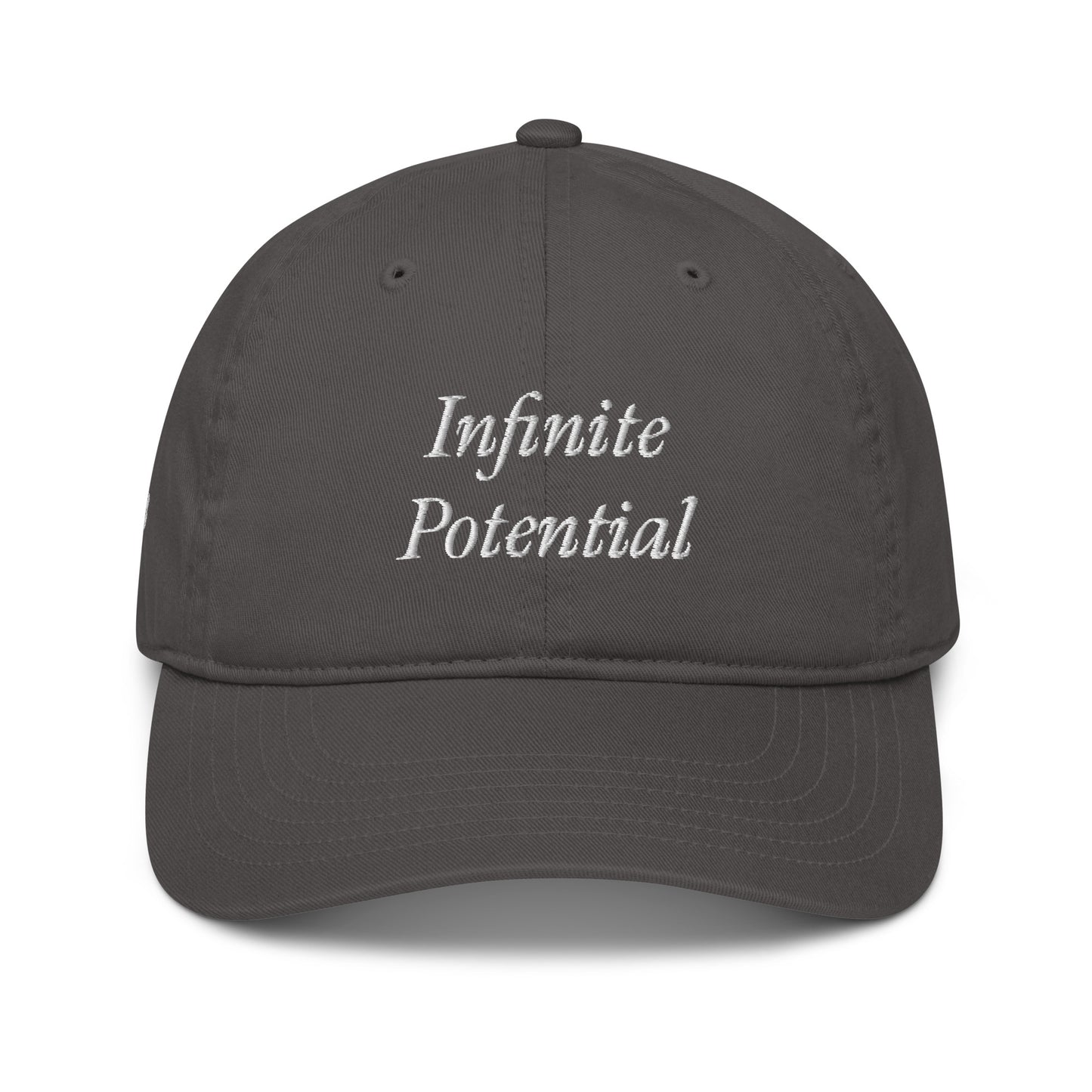Infinite Potential Organic Cotton dad hat