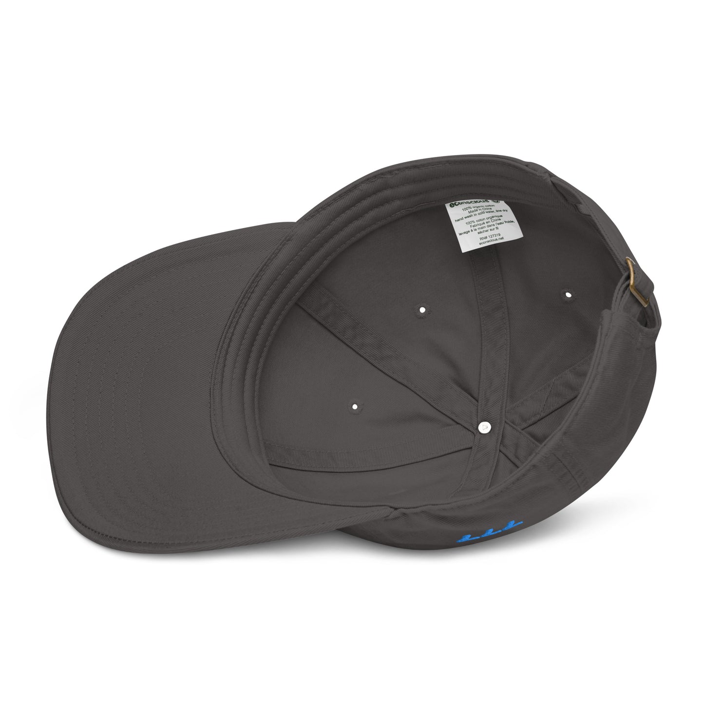 Guided Divinely Organic Cotton dad hat