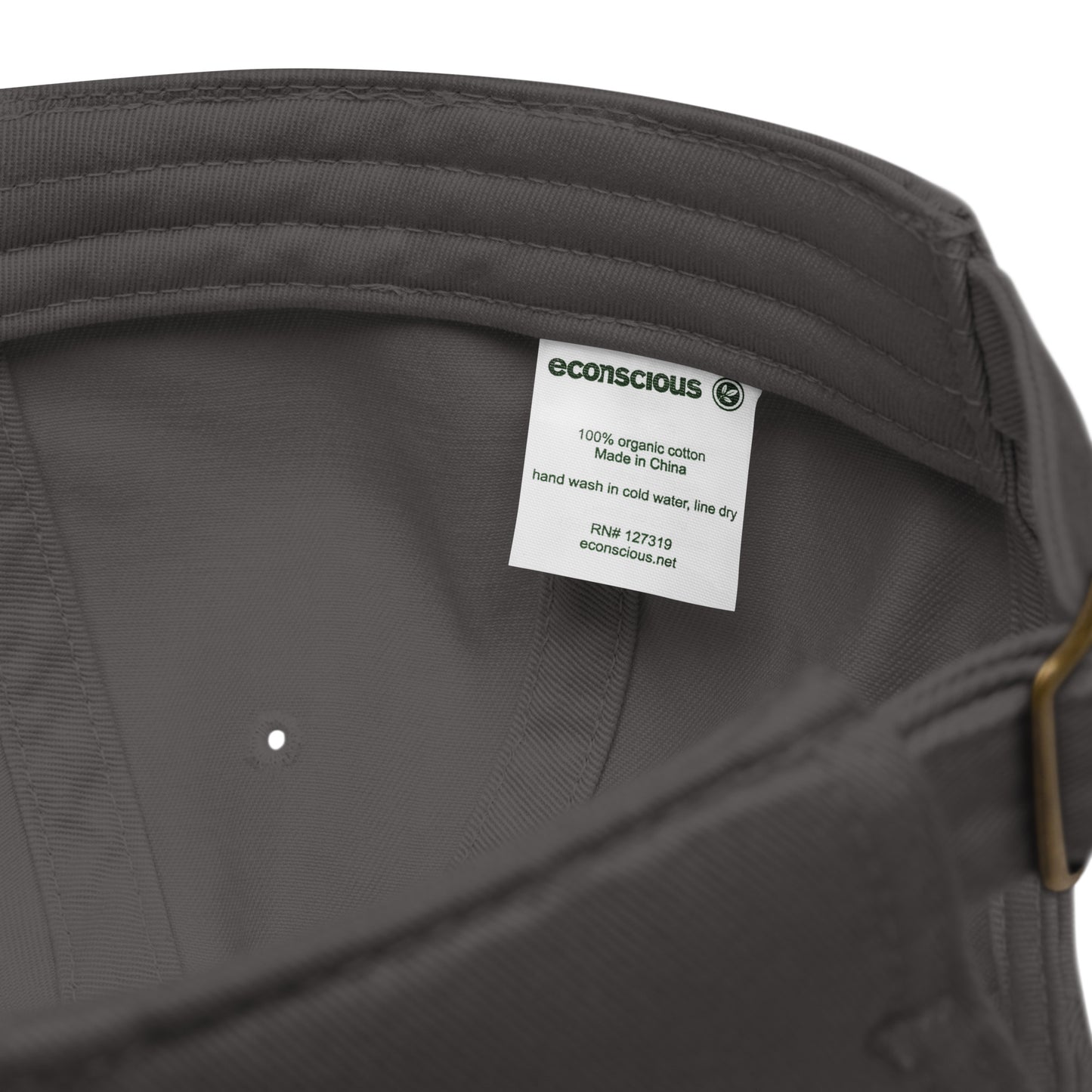 Guided Divinely Organic Cotton dad hat
