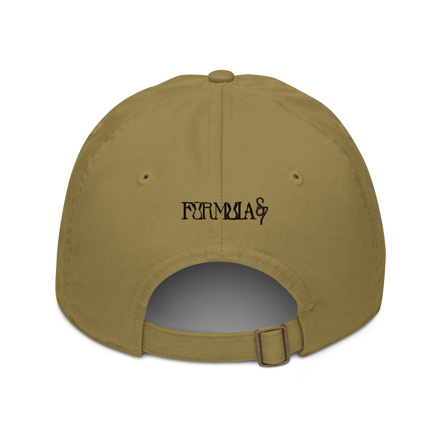 Guided Divinely Organic Cotton dad hat