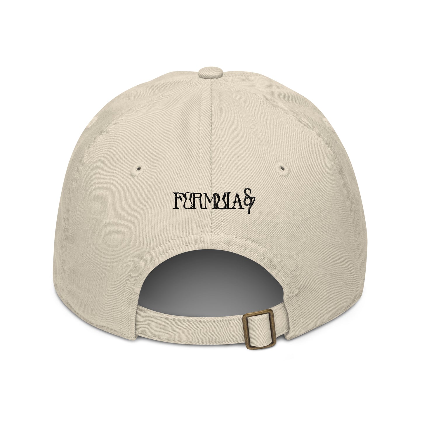 Guided Divinely Organic Cotton dad hat