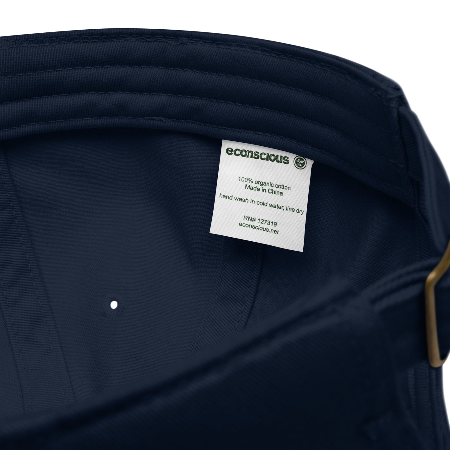 Guided Divinely Organic Cotton dad hat
