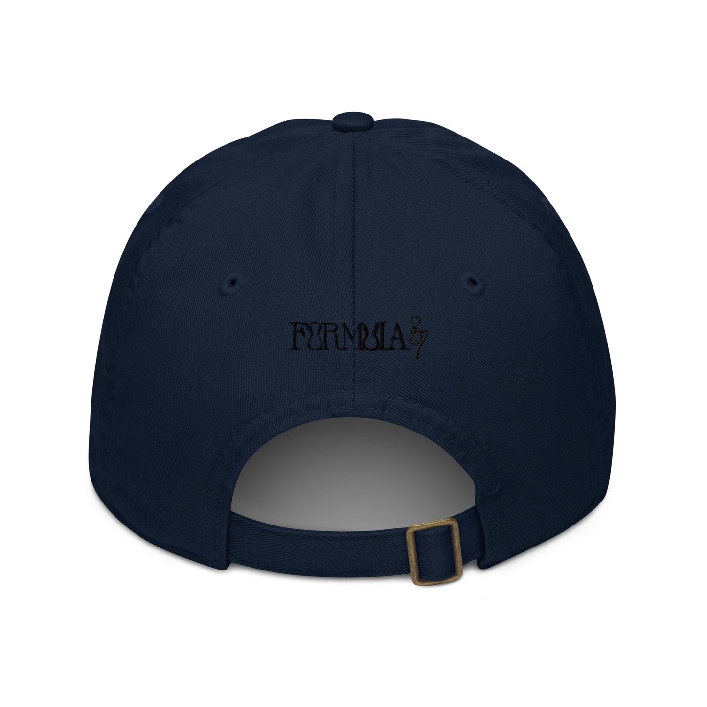 Guided Divinely Organic Cotton dad hat