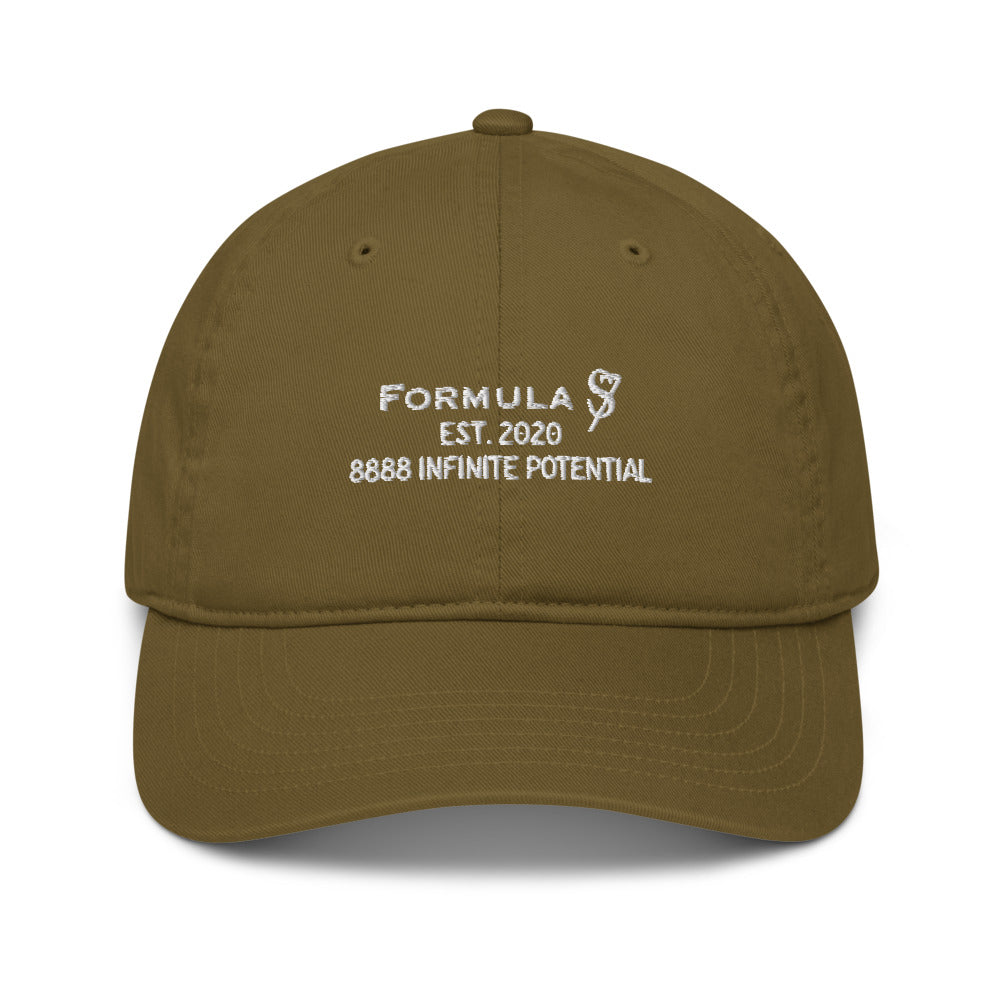 8888 Infinite Potential Angel Number Organic Cotton Dad Hat